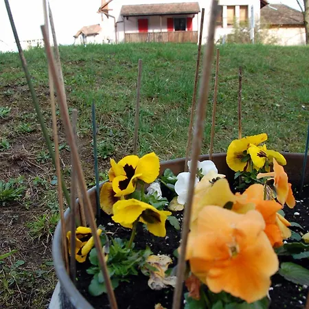 De L'ours Vuiteboeuf