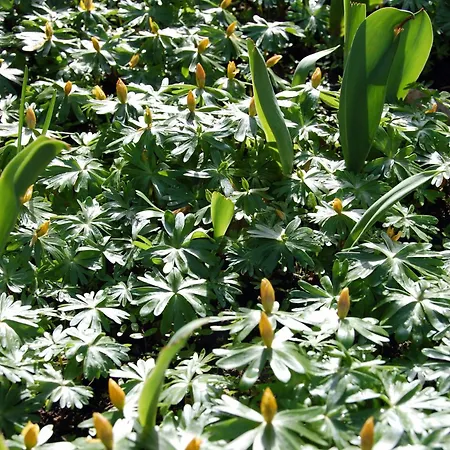Gasthof De L'ours Vuiteboeuf