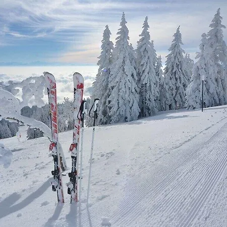 Gasthof De L'ours Vuiteboeuf