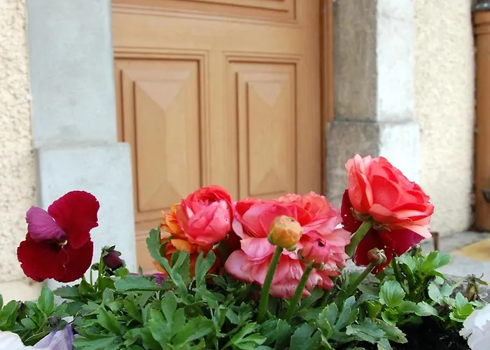 De L'ours Mini-hôtel