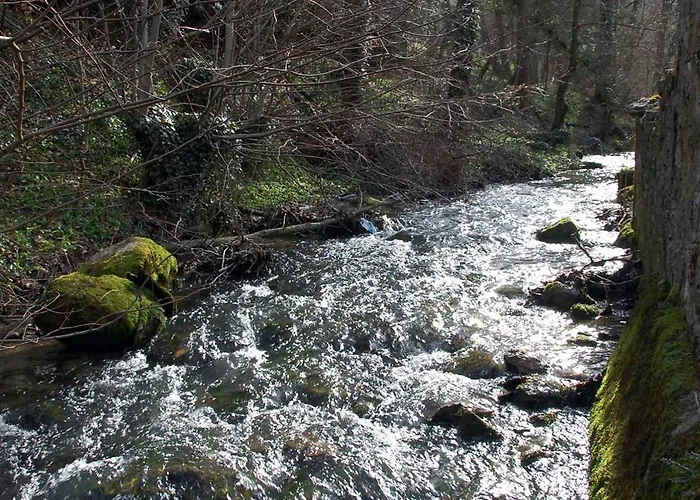 De L'ours Mini-hôtel