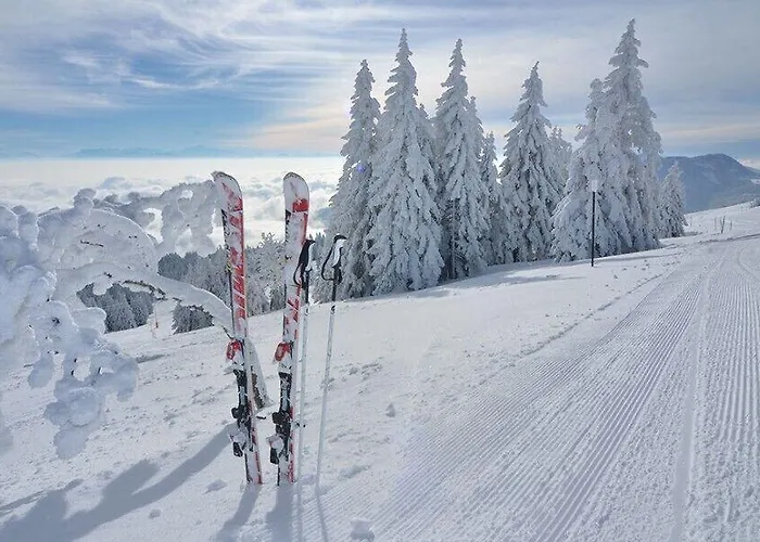 بيت ريفي De L'ours فاوتيبوف
