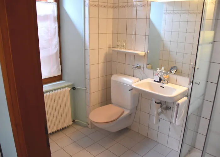 Mini-hôtel De L'ours