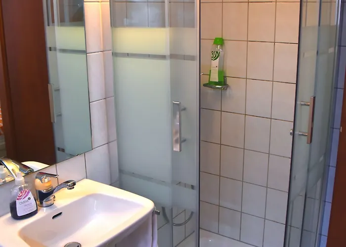 Gasthof De L'ours 3*