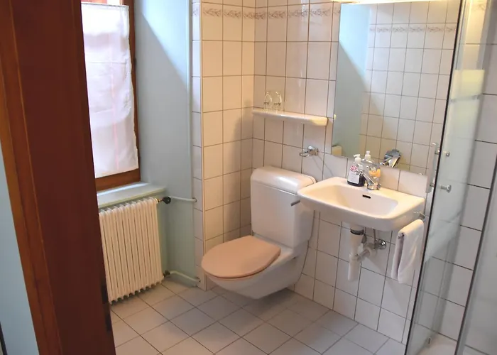 Mini-hôtel De L'ours