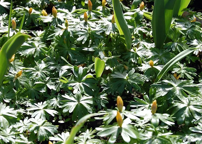 宾馆 得乐奥斯酒店 维特伯夫