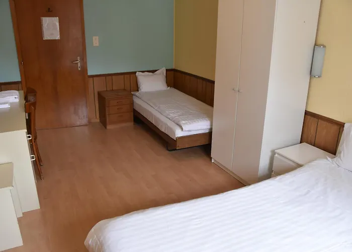 宾馆 得乐奥斯酒店 维特伯夫